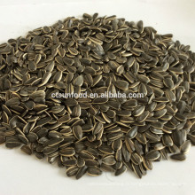 graines de tournesol chinoises graines de tournesol décortiquées graines de tournesol prix du marché
